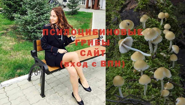 меф Каменка
