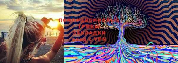 меф Каменка
