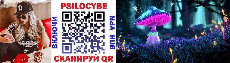 купить закладку  Обнинск  Псилоцибиновые грибы Psilocybe 